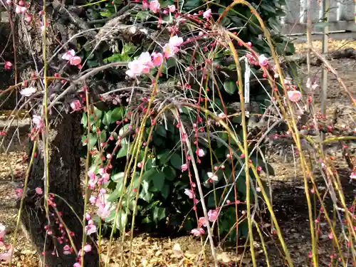 小村井 香取神社の庭園