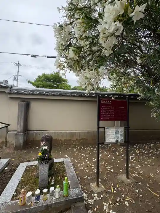 達磨寺の{uncategorized: "未分類", other: "その他", undefined: "問題あり", building: "その他建物", grave: "お墓", sacred_gate: "鳥居", guardian: "狛犬", statue: "像", buddha: "仏像", history: "歴史", nature: "自然", garden: "庭園", animal: "動物", pagoda: "塔", temizu: "手水舎", mountain_gate: "山門・神門", sanctuary: "本殿・本堂", subordinate: "末社・摂社", art: "芸術", scenery: "景色", jizo: "地蔵", ema: "絵馬", goshuin: "御朱印", omikuji: "おみくじ", items: "授与品その他", amulet: "お守り", goshuincho: "御朱印帳", eats: "食事", festival: "お祭り", votive_dance: "神楽", shichigosan: "七五三参", wedding: "結婚式", experience: "体験その他", initially: "初詣", around: "周辺", anti_infection: "感染症対策"}