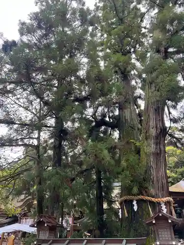 大神神社の自然
