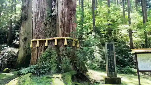 御岩神社(茨城県)