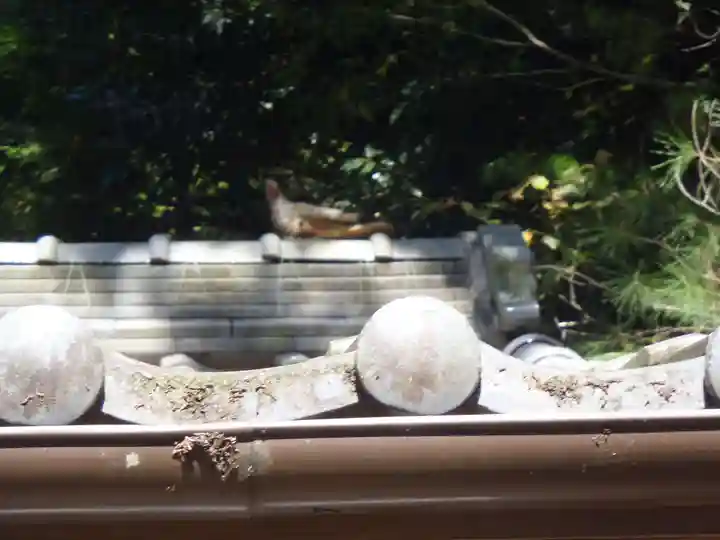 八幡神社(岐阜県)