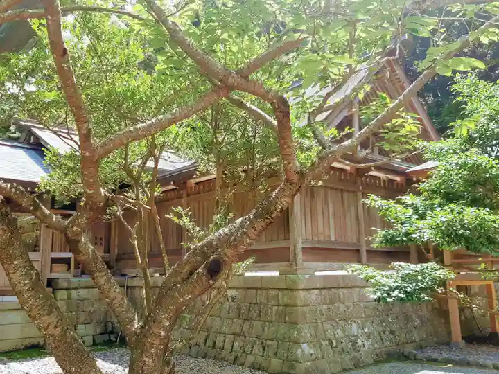 安房神社の本殿・本堂
