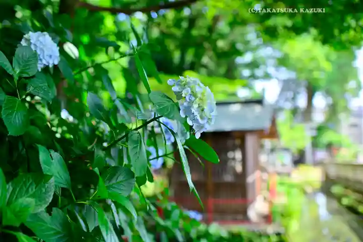 谷保天満宮(東京都)