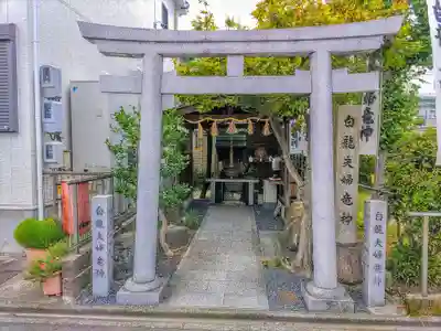 白龍夫婦龍神社（清水）の鳥居