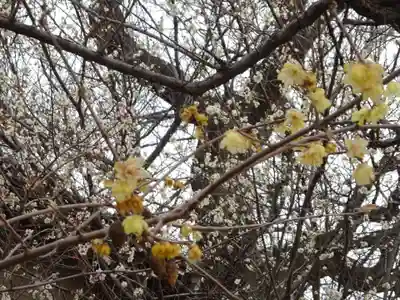 天満宮(神奈川県)