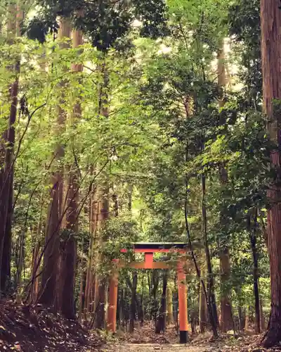 御蔭神社の鳥居