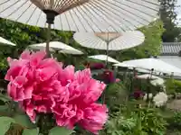 當麻寺西南院の自然