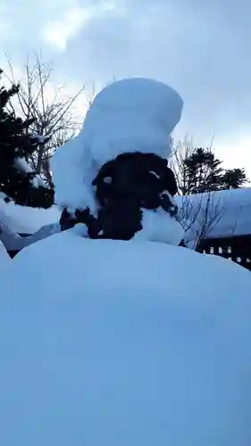 札幌護國神社の狛犬