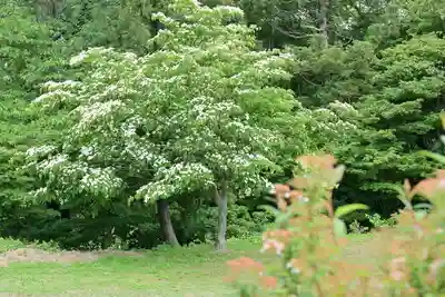 国上寺(新潟県)