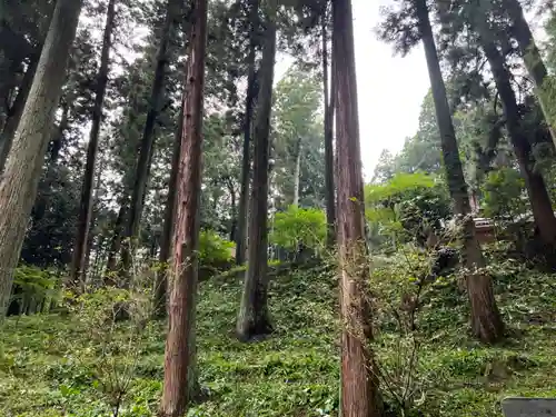 大宮温泉神社(栃木県)