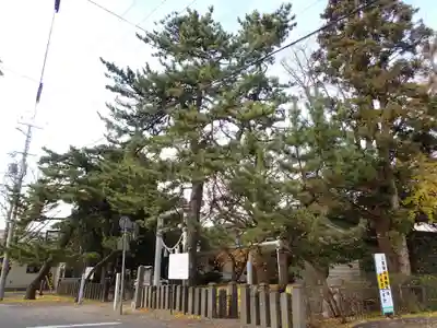 有川大神宮のその他建物