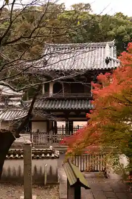 丈六寺(徳島県)