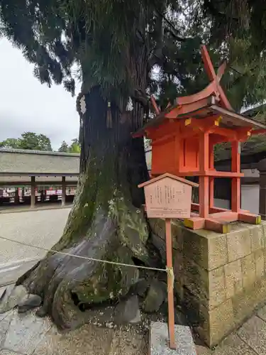 春日大社(奈良県)