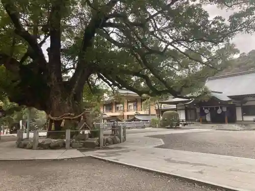 大麻比古神社(徳島県)