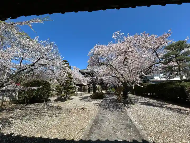 正麟寺の{uncategorized: "未分類", other: "その他", undefined: "問題あり", building: "その他建物", grave: "お墓", sacred_gate: "鳥居", guardian: "狛犬", statue: "像", buddha: "仏像", history: "歴史", nature: "自然", garden: "庭園", animal: "動物", pagoda: "塔", temizu: "手水舎", mountain_gate: "山門・神門", sanctuary: "本殿・本堂", subordinate: "末社・摂社", art: "芸術", scenery: "景色", jizo: "地蔵", ema: "絵馬", goshuin: "御朱印", omikuji: "おみくじ", items: "授与品その他", amulet: "お守り", goshuincho: "御朱印帳", eats: "食事", festival: "お祭り", votive_dance: "神楽", shichigosan: "七五三参", wedding: "結婚式", experience: "体験その他", initially: "初詣", around: "周辺", anti_infection: "感染症対策"}