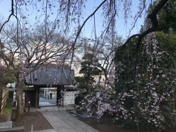 金蔵院の山門・神門