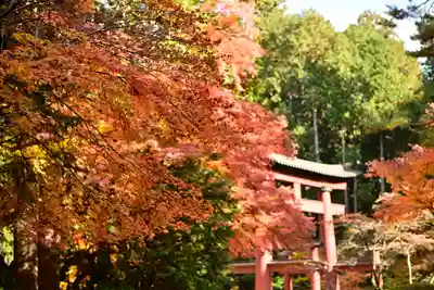 北口本宮冨士浅間神社(山梨県)