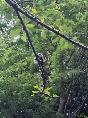 音無神社(静岡県)