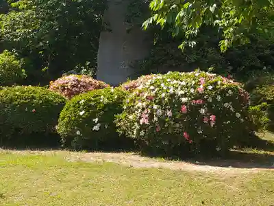 國鉾神社の自然