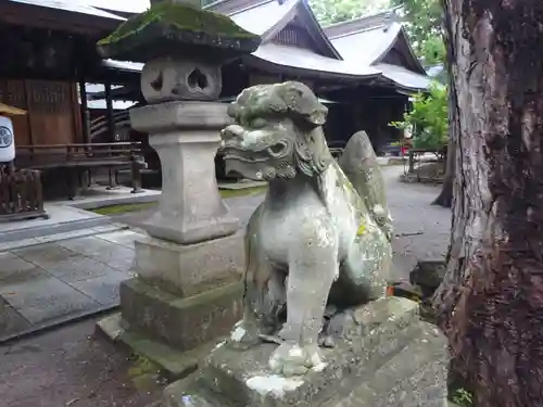 蠶養國神社の狛犬