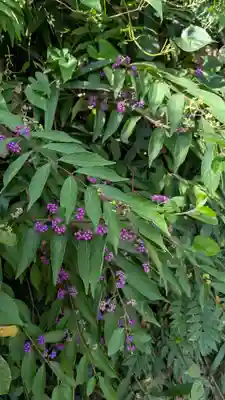 江文神社(京都府)