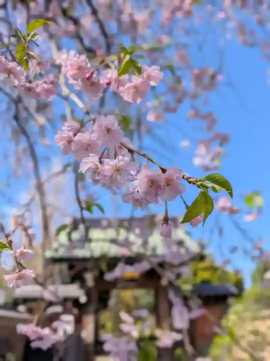 福蔵院(東京都)