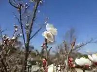 御館山稲荷神社(長崎県)