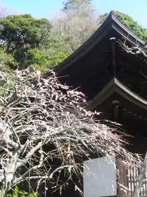 瑞泉寺のその他建物
