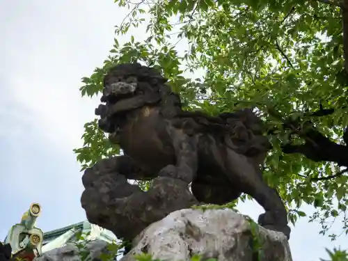神田神社（神田明神）の狛犬