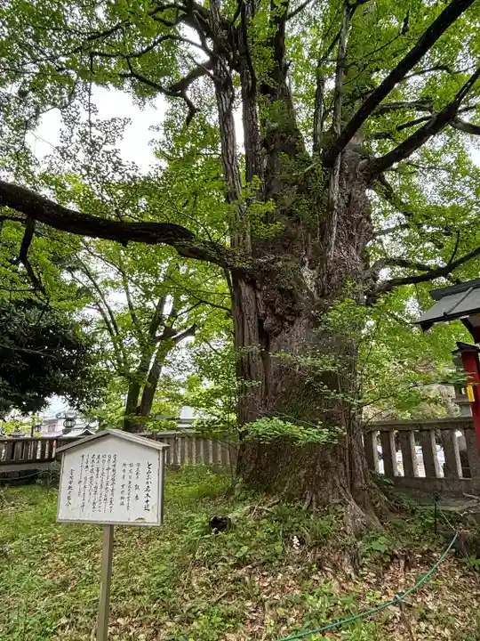 一之宮貫前神社(群馬県)