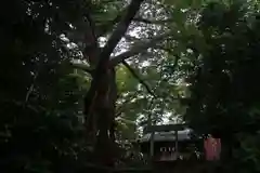 愛宕神社の景色