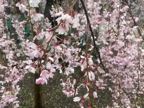 大國魂神社の{uncategorized: "未分類", other: "その他", undefined: "問題あり", building: "その他建物", grave: "お墓", sacred_gate: "鳥居", guardian: "狛犬", statue: "像", buddha: "仏像", history: "歴史", nature: "自然", garden: "庭園", animal: "動物", pagoda: "塔", temizu: "手水舎", mountain_gate: "山門・神門", sanctuary: "本殿・本堂", subordinate: "末社・摂社", art: "芸術", scenery: "景色", jizo: "地蔵", ema: "絵馬", goshuin: "御朱印", omikuji: "おみくじ", items: "授与品その他", amulet: "お守り", goshuincho: "御朱印帳", eats: "食事", festival: "お祭り", votive_dance: "神楽", shichigosan: "七五三参", wedding: "結婚式", experience: "体験その他", initially: "初詣", around: "周辺", anti_infection: "感染症対策"}
