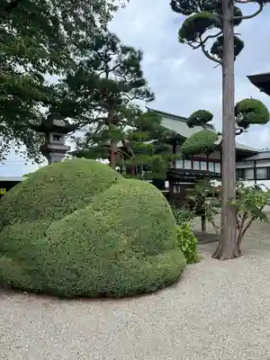 圓應寺(山形県)