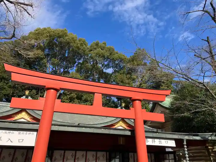 日枝神社(東京都)