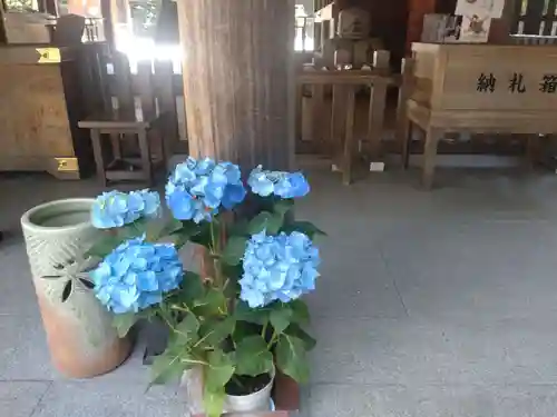 阿佐ヶ谷神明宮の自然