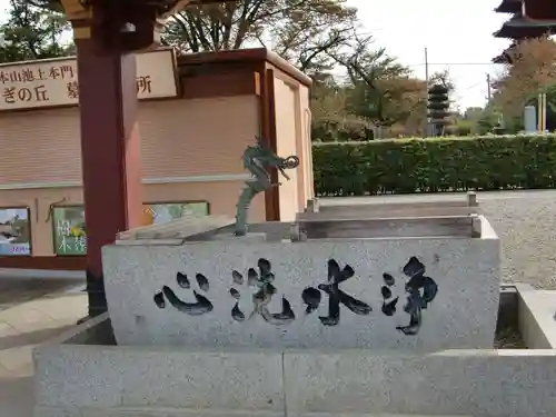 池上本門寺の手水