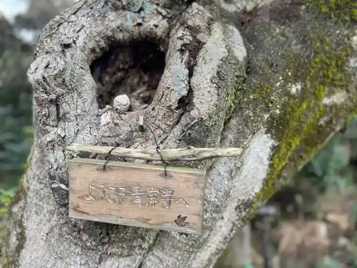 吸湖山 青岸寺の景色