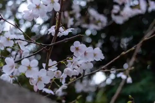 熊野神社(京都府)