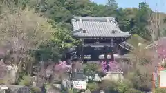 善住禅寺(愛知県)