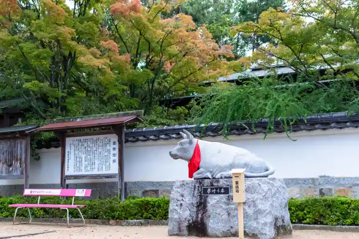 防府天満宮(山口県)