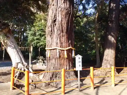 息栖神社の自然