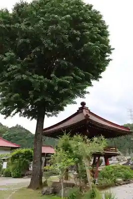 長念寺(埼玉県)