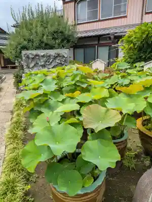 長善寺(東京都)