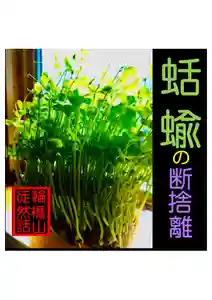 耕田院(山形県)(2024年04月04日(木) 04時04分44秒投稿)