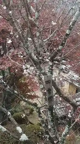 成田山名古屋別院大聖寺(犬山成田山)の自然