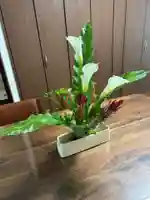 安用寺(愛知県)