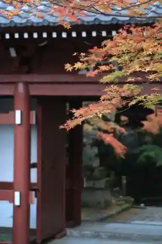 神峯山寺(大阪府)