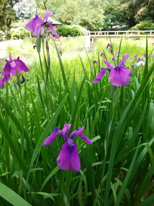 出雲大社(島根県)