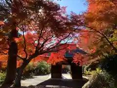 普門寺(切り絵御朱印発祥の寺)の山門