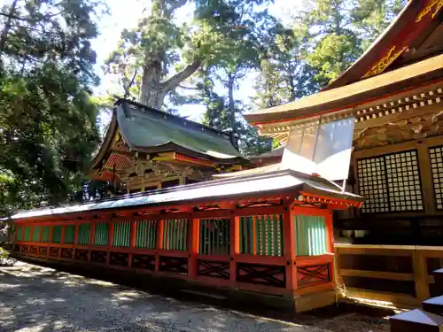 鹿島神宮の本殿